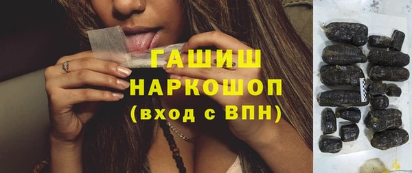 гидра Покачи