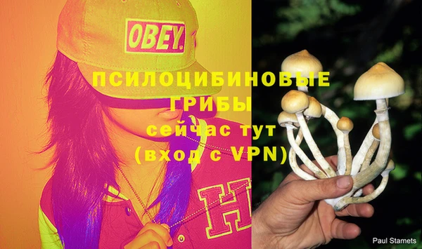 соль курить ск Алексеевка